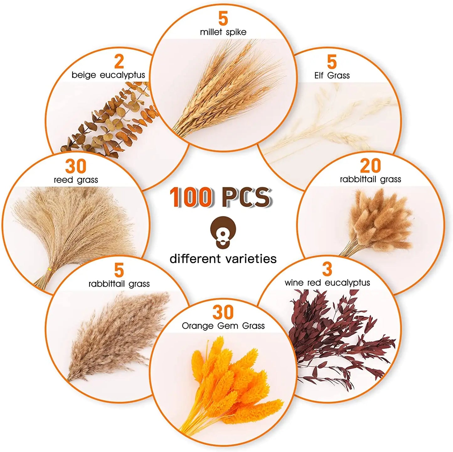 Pampasgras – Herbstliche Deko