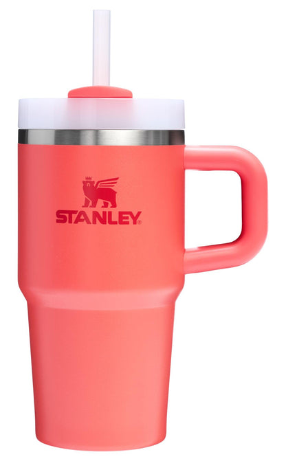 Stanley Tumbler- Der Begleiter für erfrischende Tage - sunny.side-Productions