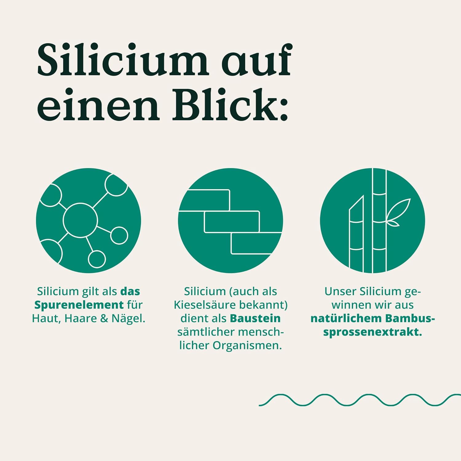 Biotin Komplex - mit Zink, Selen, Silizium & Vitamin B5 - hochdosiert mit 10.000µg Biotin - 365 Tabletten für Haare, Haut und Nägel - Haar Vitamine im Jahresvorrat - vegan & laborgeprüft