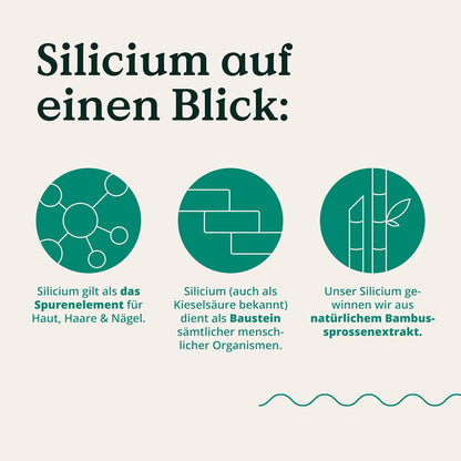 Biotin Komplex - mit Zink, Selen, Silizium & Vitamin B5 - hochdosiert mit 10.000µg Biotin - 365 Tabletten für Haare, Haut und Nägel - Haar Vitamine im Jahresvorrat - vegan & laborgeprüft