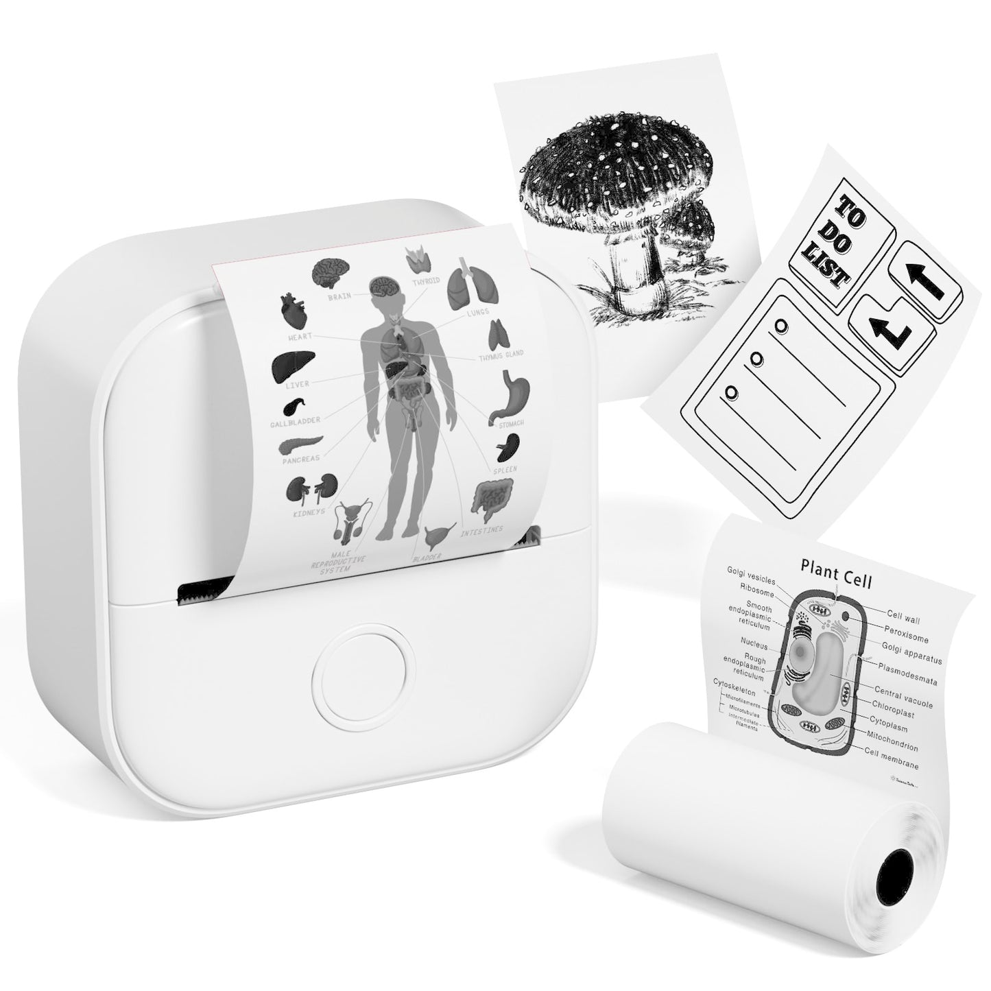 Kompakt, kreativ, kabellos – dein Mini-Thermodrucker - sunny.side-Productions