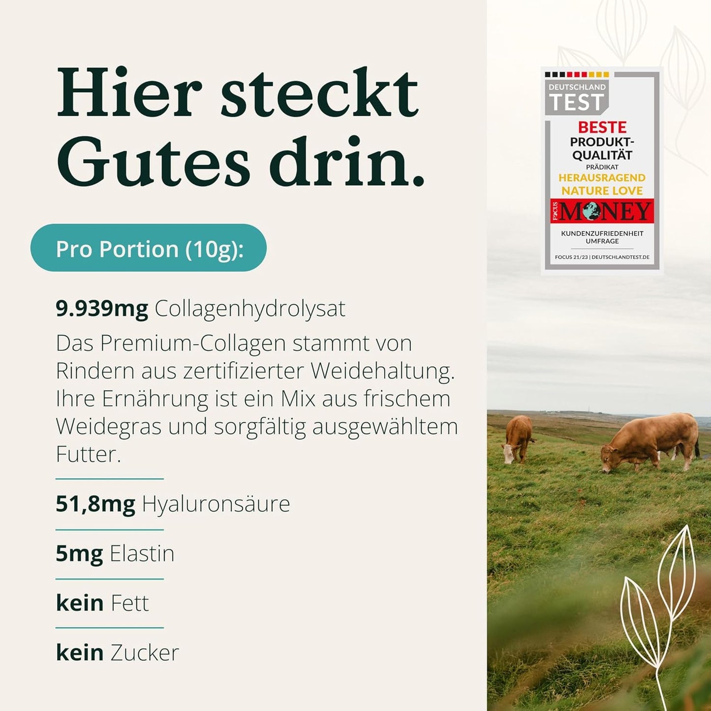 NATURE LOVE® Premium Collagen Pulver mit Hyaluronsäure und Elastin - 500g Kollagen - Peptide Type 1 und 3 - geschmacksneutral - Kollagen von Rindern aus Weidehaltung - laborgeprüft