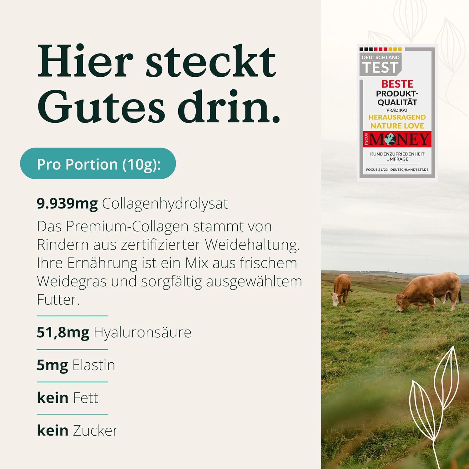 NATURE LOVE® Premium Collagen Pulver mit Hyaluronsäure und Elastin - 500g Kollagen - Peptide Type 1 und 3 - geschmacksneutral - Kollagen von Rindern aus Weidehaltung - laborgeprüft