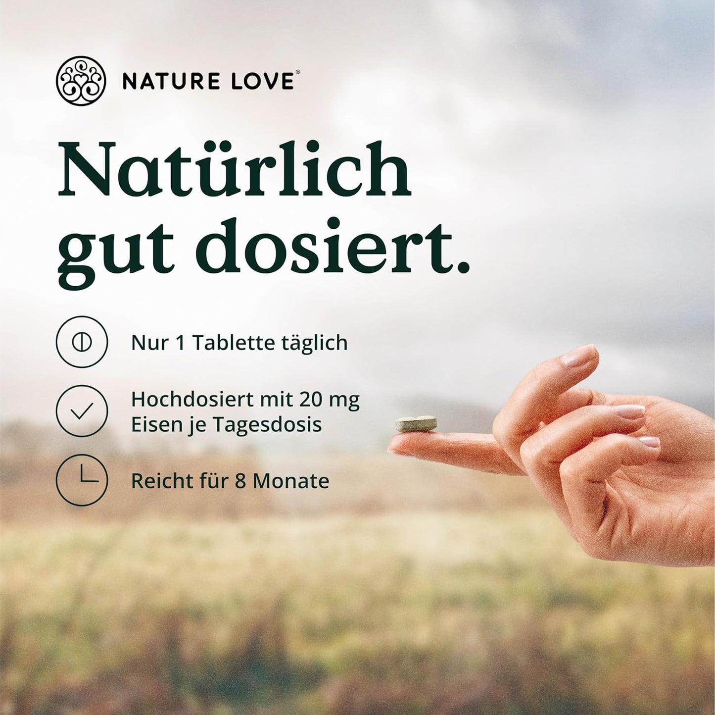 NATURE LOVE® Eisentabletten mit Vitamin C - 240 Stück - 20mg Eisen und 40mg Vitamin C pro Tablette - Hoch bioverfügbares Eisen-bisglycinat (Eisen-Chelat) - vegan, in Deutschland produziert