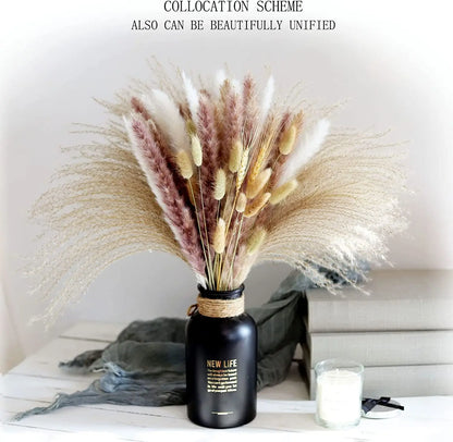 Pampasgras – Herbstliche Deko