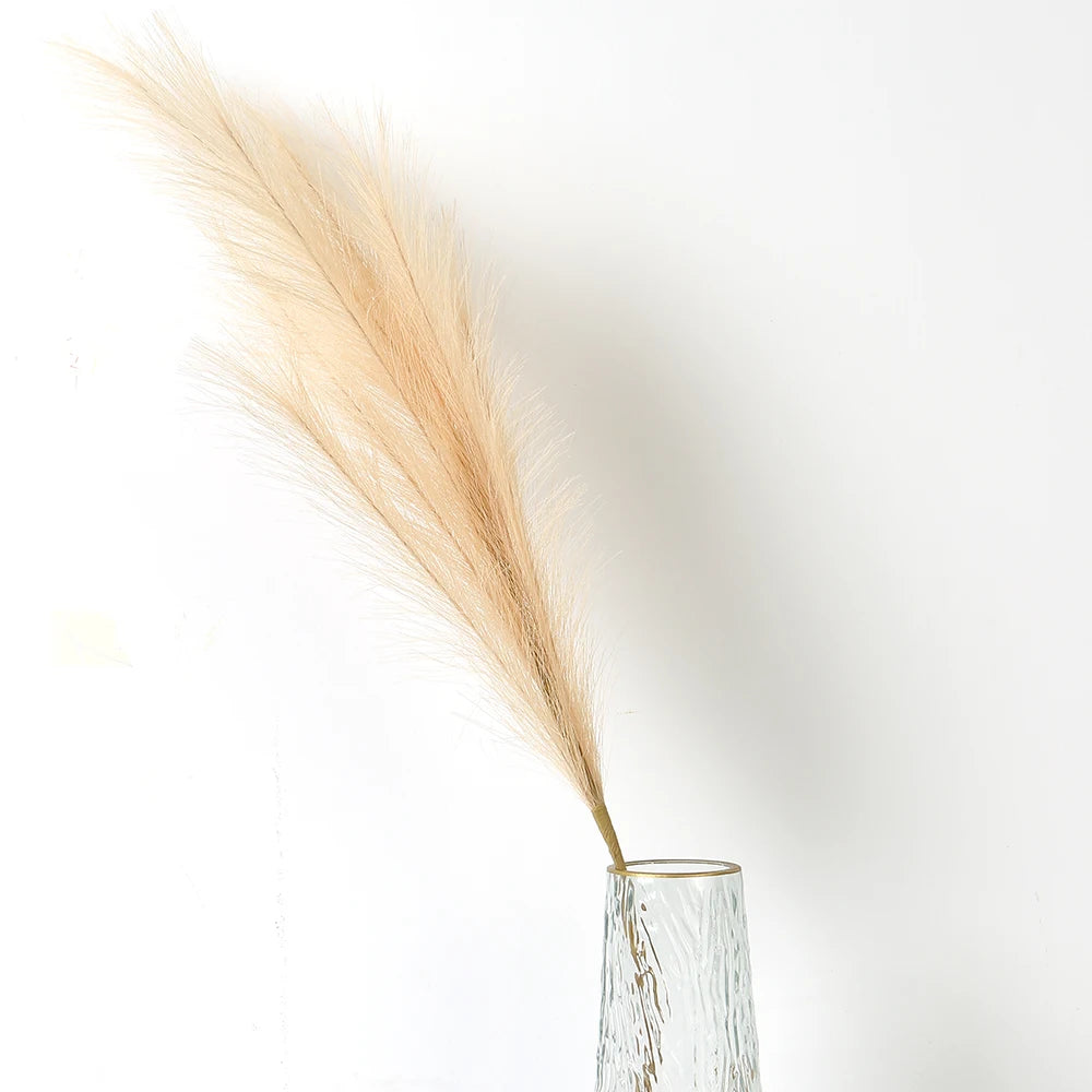 Pampasgras – Sanfte Leichtigkeit