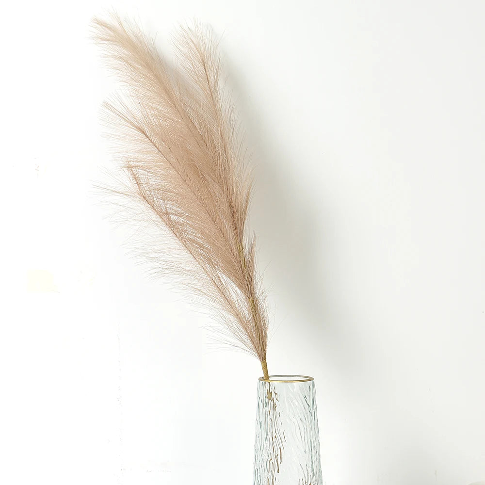 Pampasgras – Sanfte Leichtigkeit