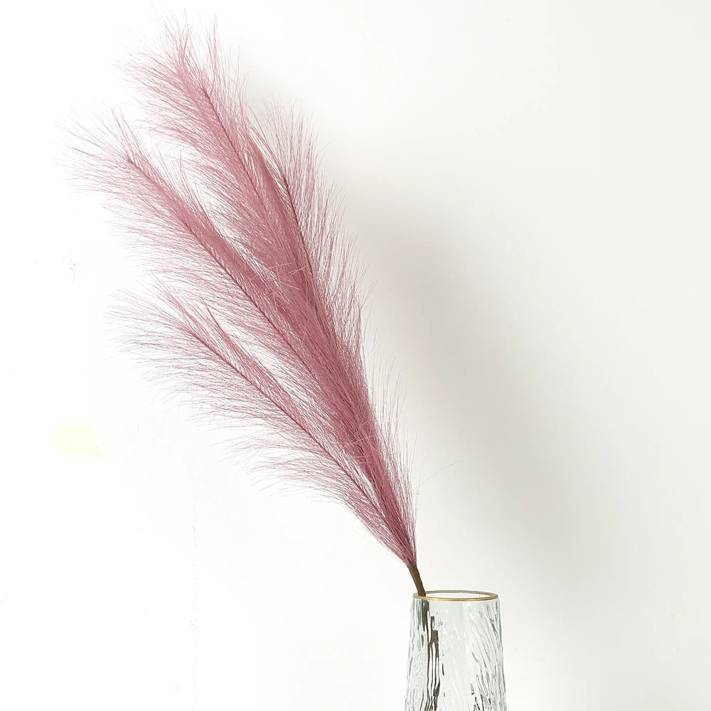 Pampasgras – Sanfte Leichtigkeit