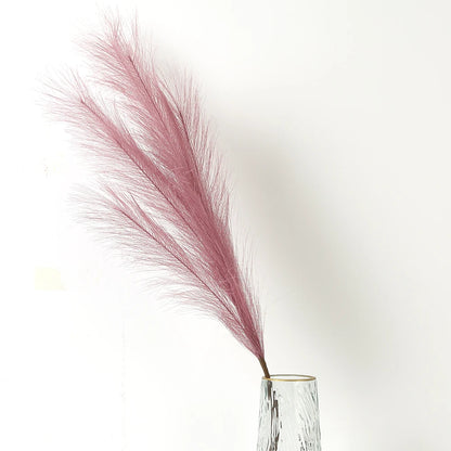 Pampasgras – Sanfte Leichtigkeit