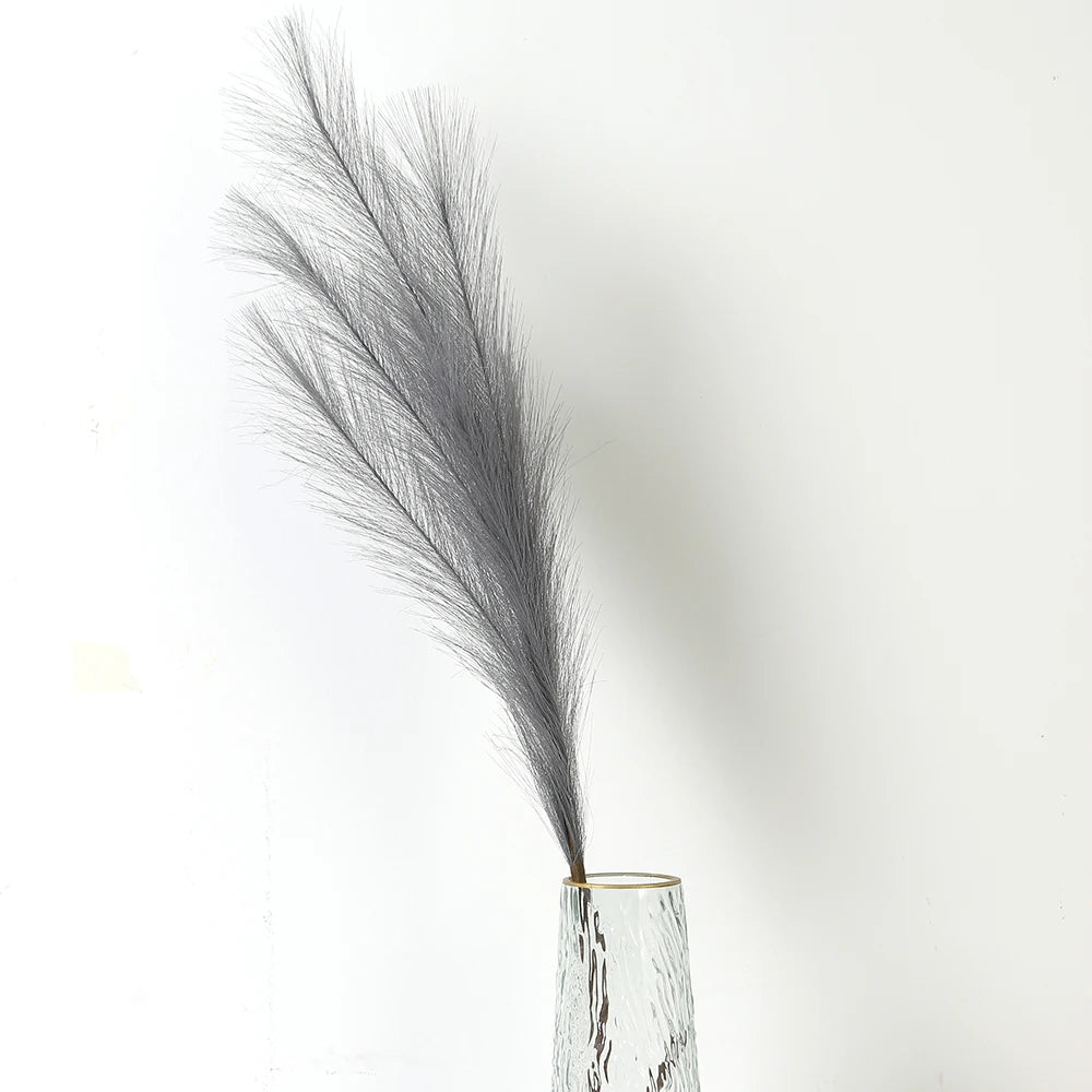 Pampasgras – Sanfte Leichtigkeit