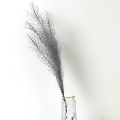 Pampasgras – Sanfte Leichtigkeit