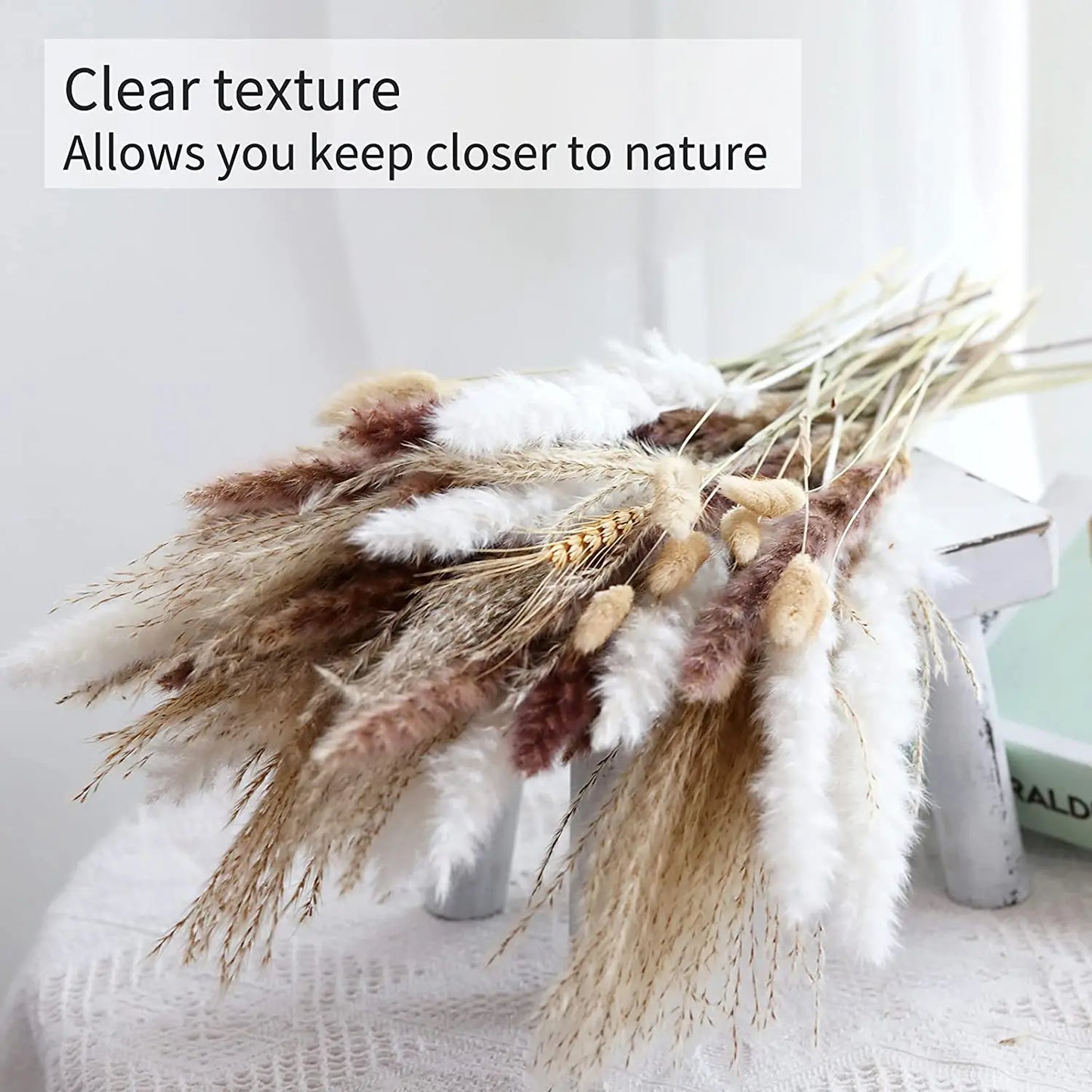 Pampasgras – Herbstliche Deko