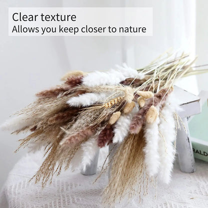 Pampasgras – Herbstliche Deko