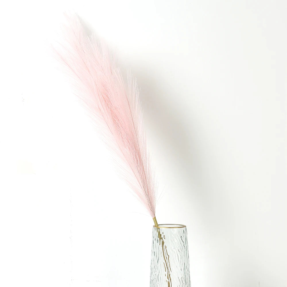 Pampasgras – Sanfte Leichtigkeit
