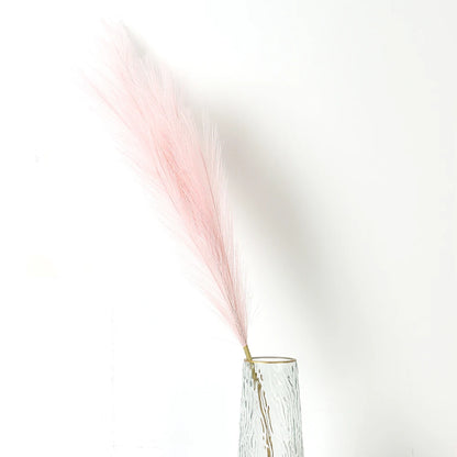 Pampasgras – Sanfte Leichtigkeit
