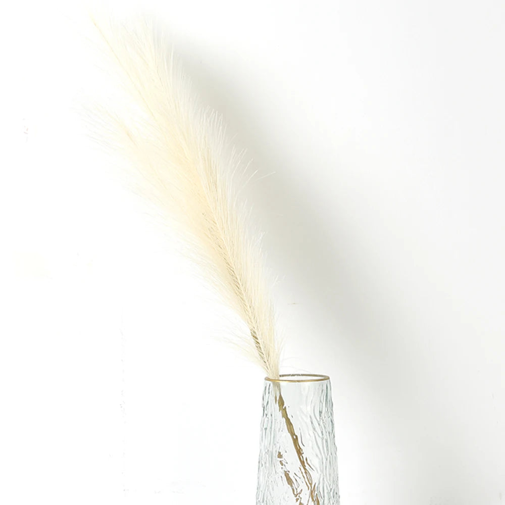Pampasgras – Sanfte Leichtigkeit