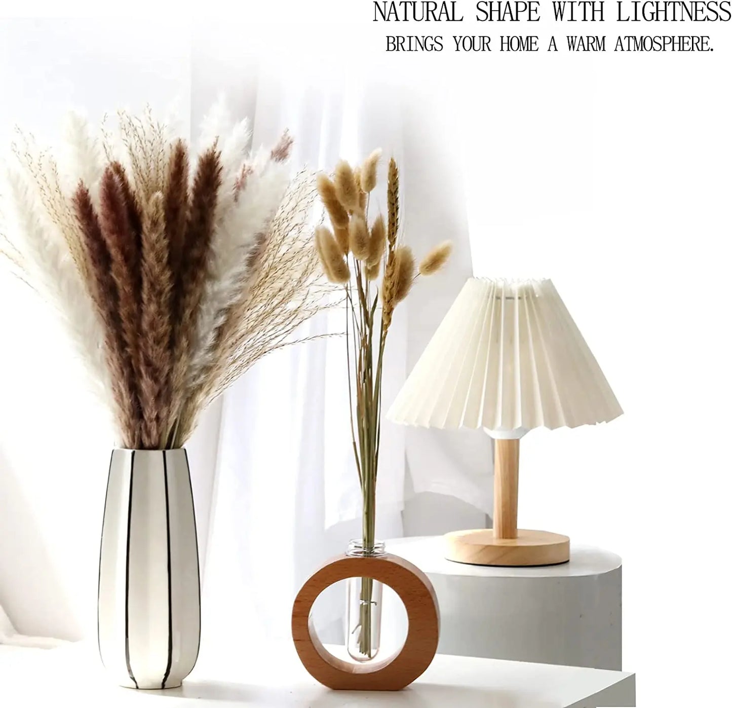 Pampasgras – Herbstliche Deko