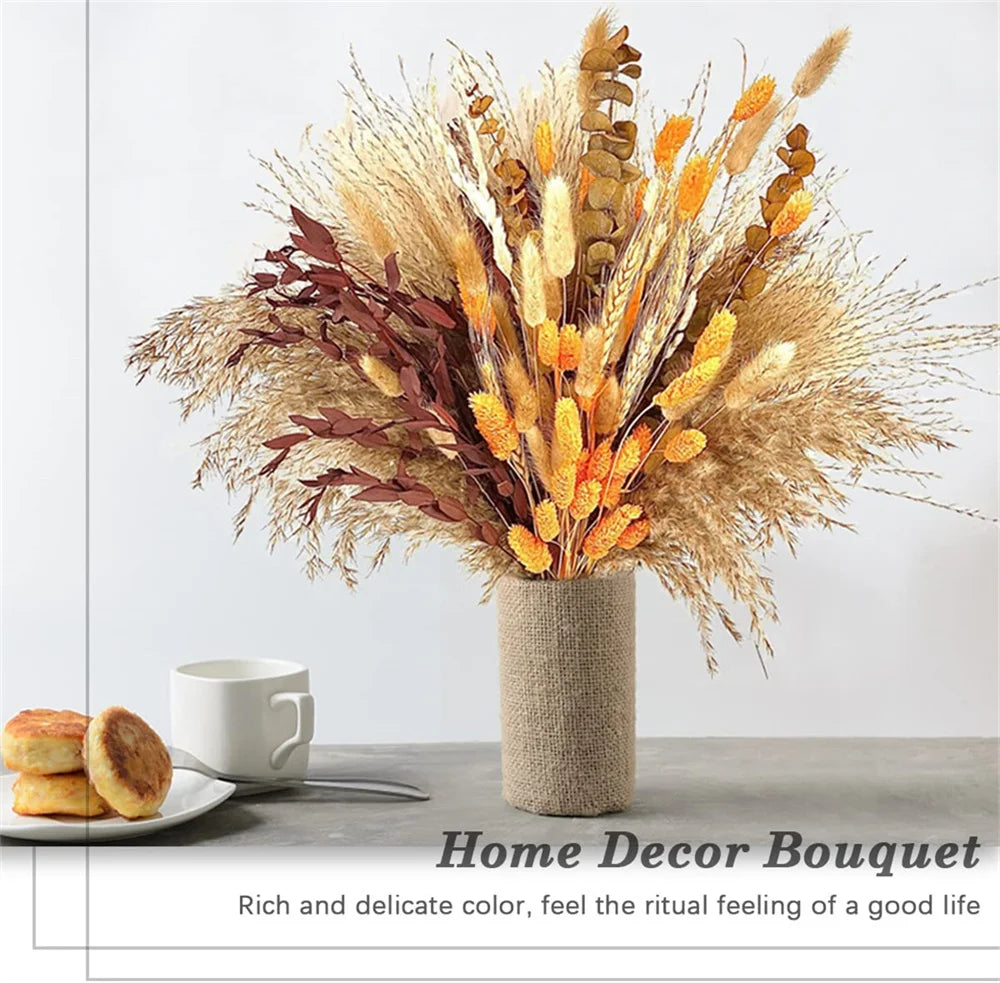 Pampasgras – Herbstliche Deko