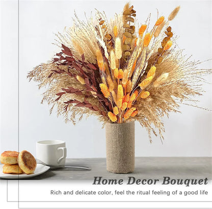 Pampasgras – Herbstliche Deko