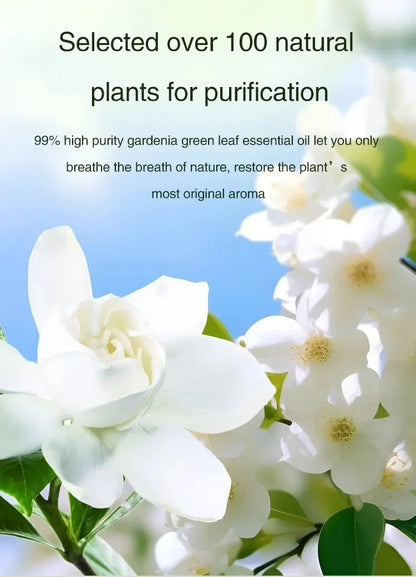 Smarte Duftlösung für dein Zuhause- Aromatherapie - sunny.side-Productions