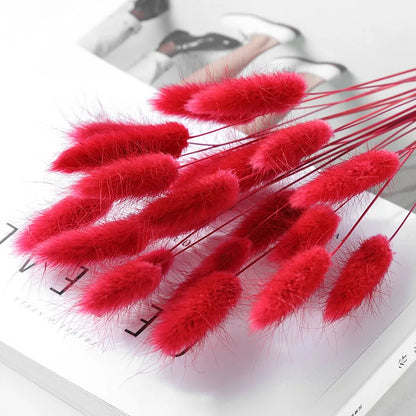 Pampasgras – Herbstliche Deko