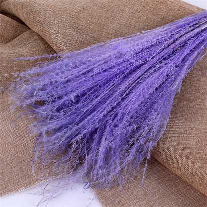 Pampasgras – Herbstliche Deko