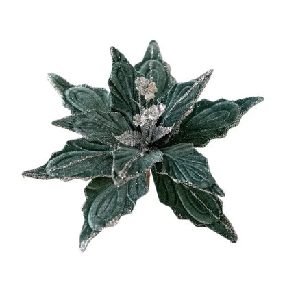 Weihnachtsstern Blüte – Funkelnde Eleganz