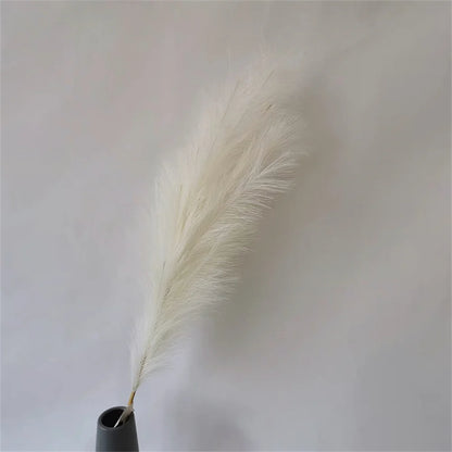 Pampasgras – Luftig, elegant & perfekt arrangiert
