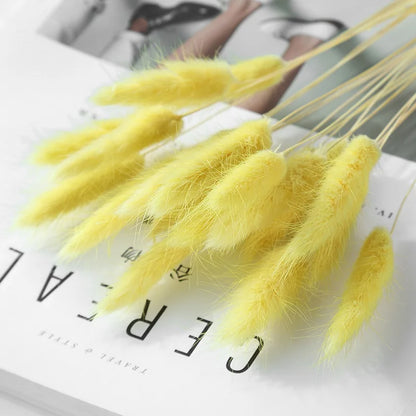 Pampasgras – Herbstliche Deko